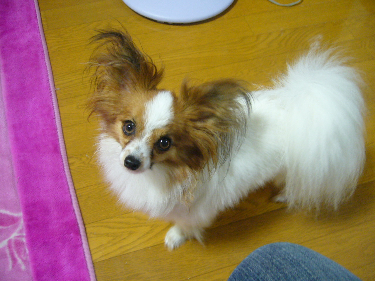 f0135021_221798.jpg