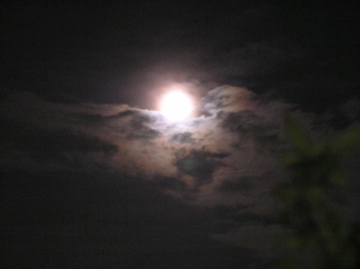 f0128723_02414.jpg