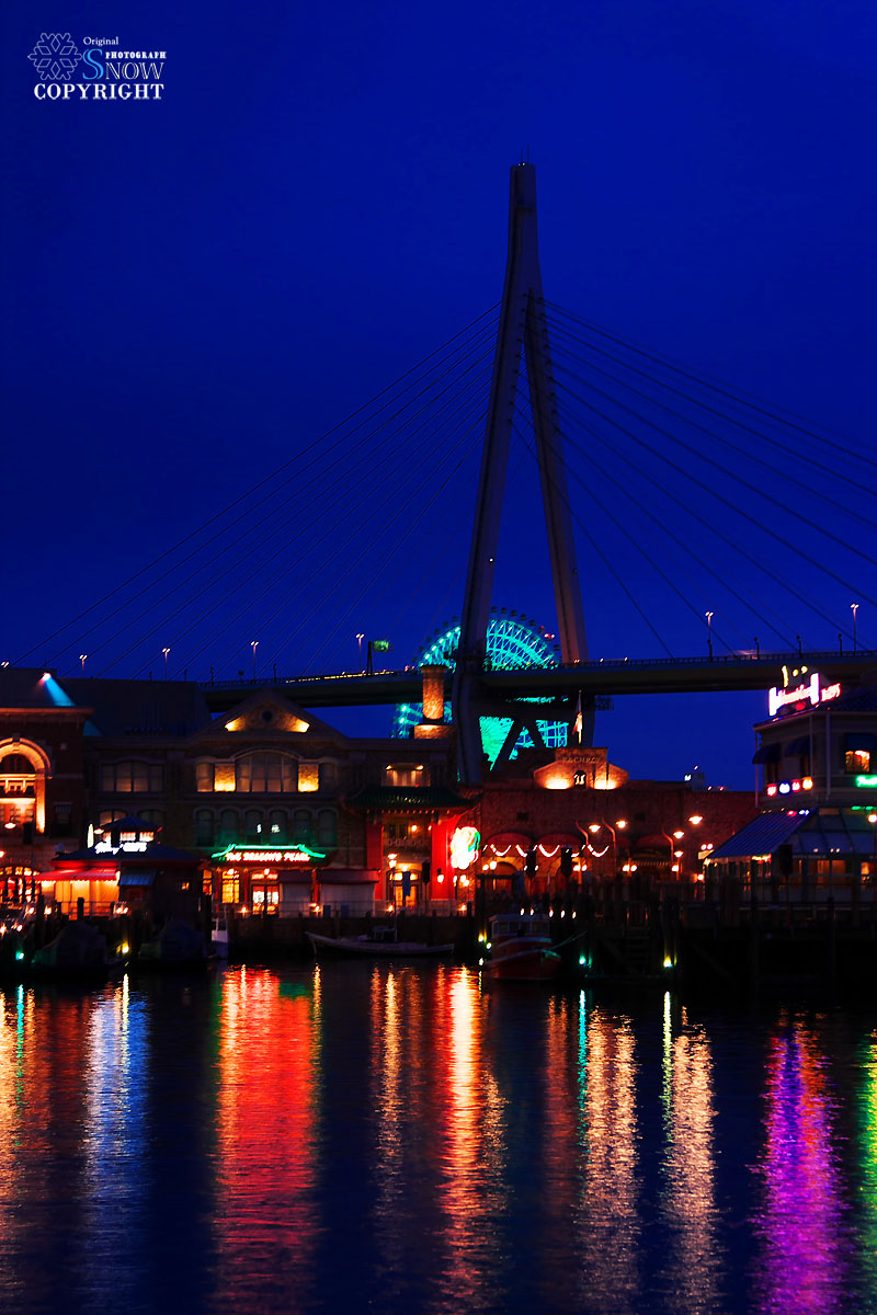 f0005935_1405530.jpg