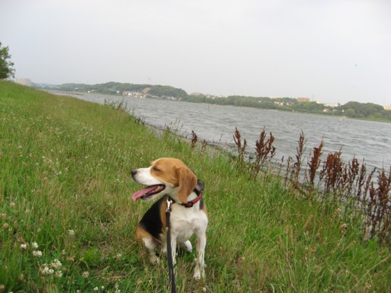 c0119142_23445471.jpg