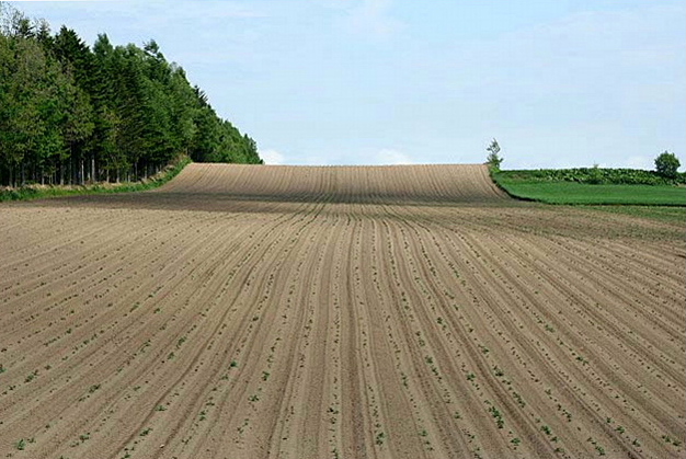 e0039744_17184417.jpg