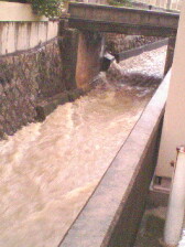 e0023845_0244146.jpg