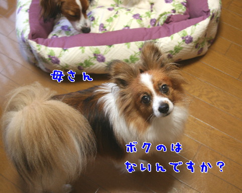 d0013149_2131570.jpg