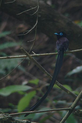 f0103860_14103294.jpg