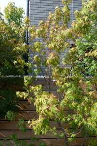 b0074862_1102142.jpg