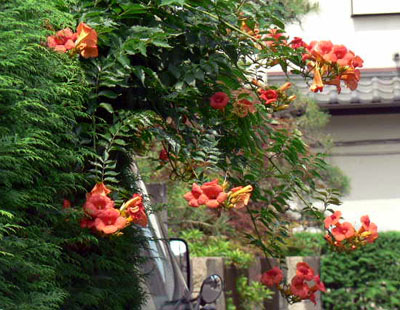 f0086169_21574051.jpg