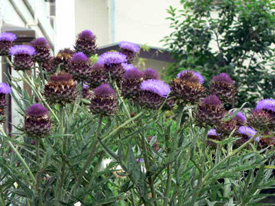 f0086169_22275246.jpg