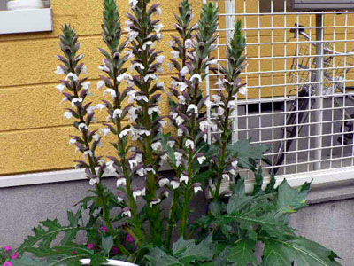 f0086169_22342374.jpg