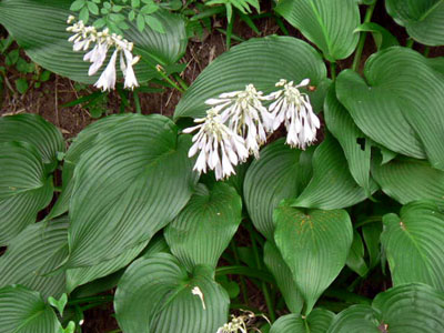 f0086169_22382972.jpg