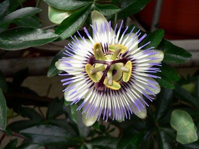 f0086169_22393238.jpg