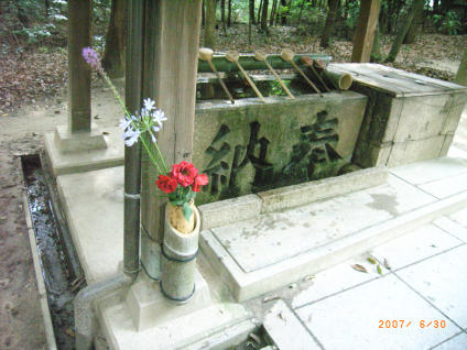 b0002879_1974531.jpg