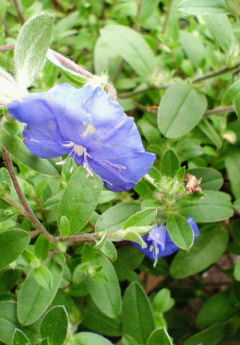 f0143386_16265871.jpg