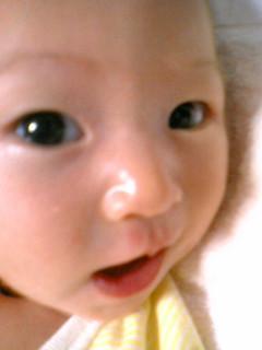 c0118387_175342.jpg