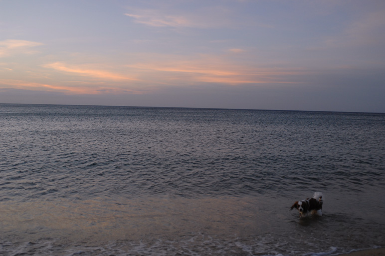 f0112087_14471474.jpg