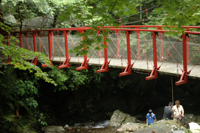 b0061588_723547.jpg