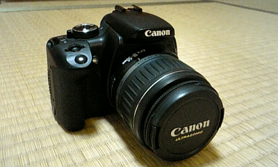 c0117888_11244339.jpg