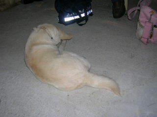 c0123890_23115999.jpg