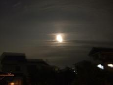 b0092794_2340464.jpg
