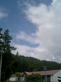 f0120295_959182.jpg