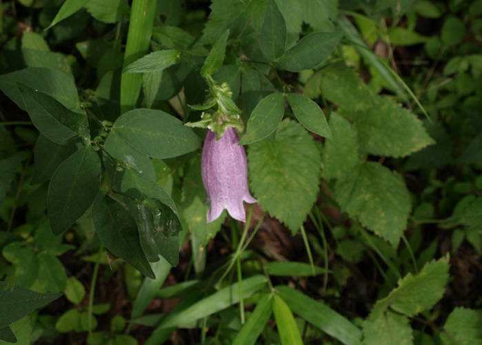c0007501_2219328.jpg