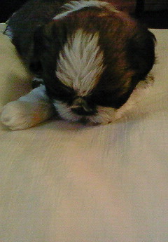 e0040602_2016996.jpg