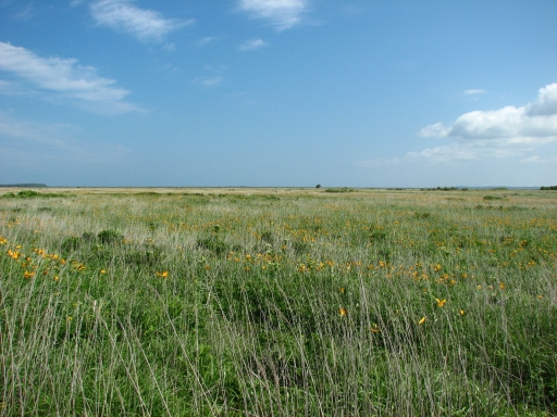 f0020302_23102834.jpg