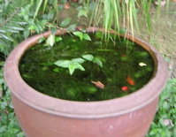 d0023704_0103046.jpg