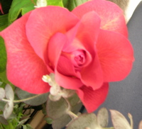 d0023704_0415731.jpg