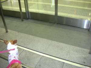 d0104705_8525486.jpg