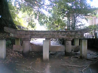 c0032006_11442412.jpg