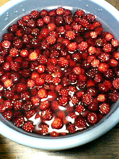 a0011909_2132541.jpg