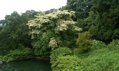 b0051713_194097.jpg