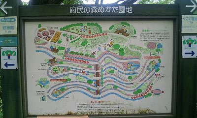 b0051713_194234.jpg
