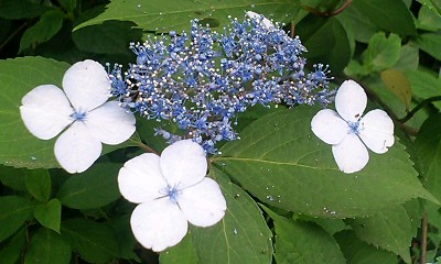b0051713_19425053.jpg