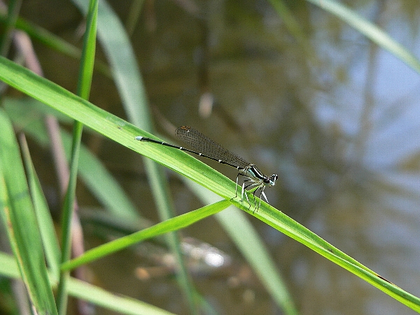 e0002314_22282593.jpg