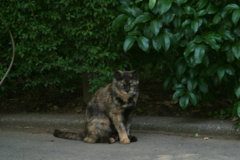 d0042618_046756.jpg