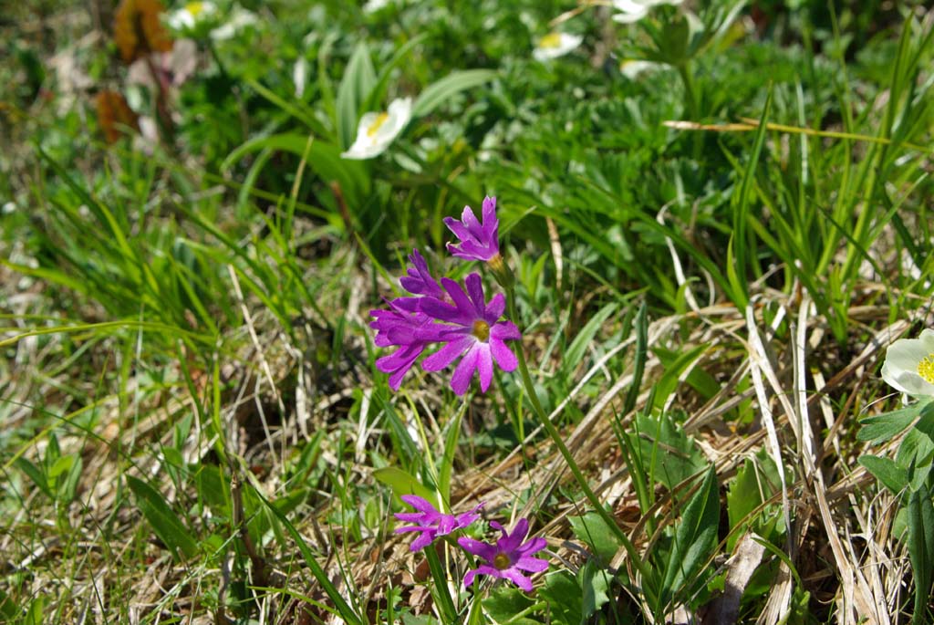 b0062024_22124940.jpg