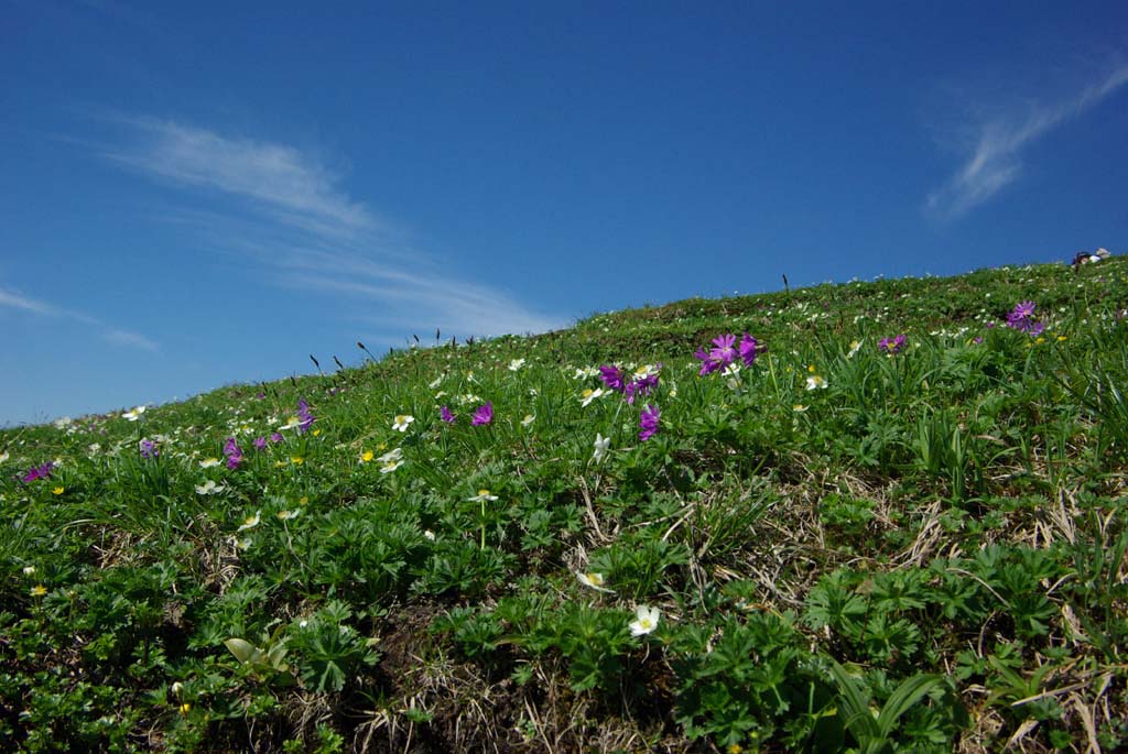 b0062024_2217339.jpg