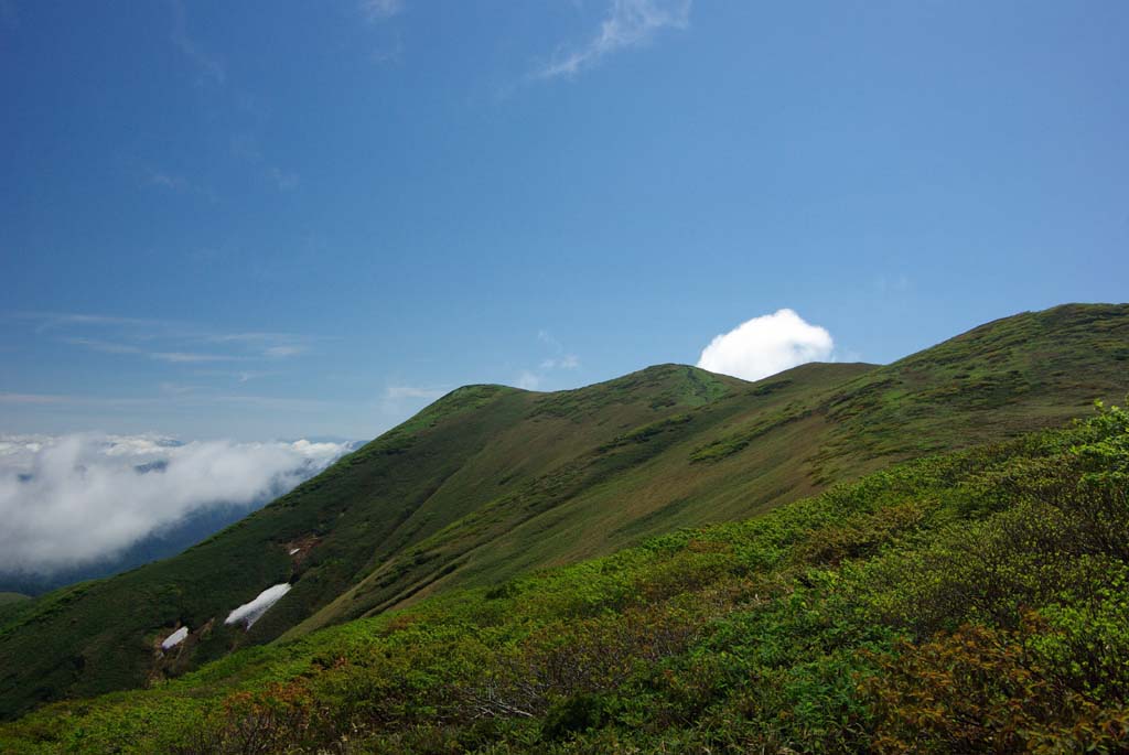 b0062024_22195431.jpg
