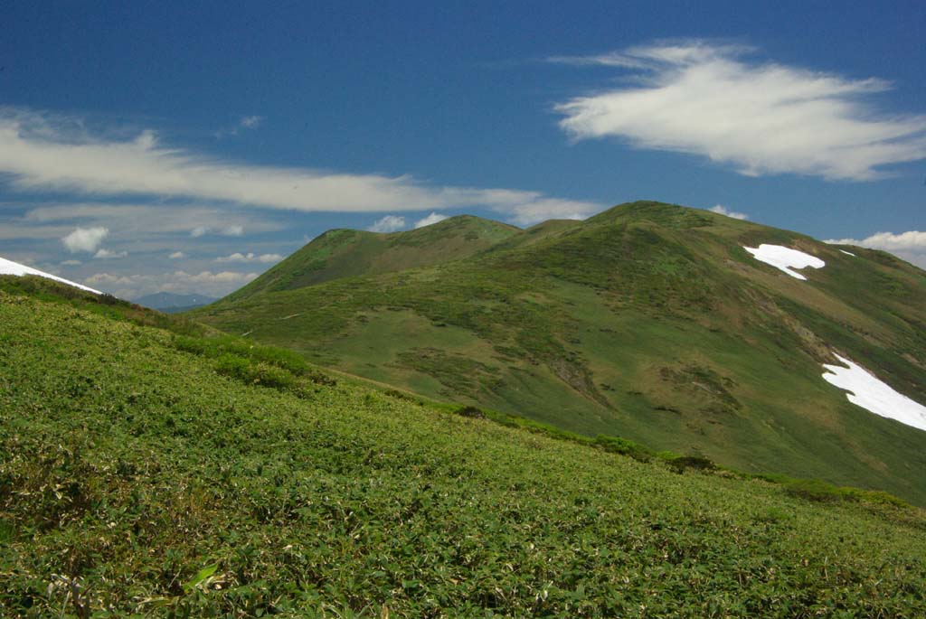 b0062024_22322638.jpg