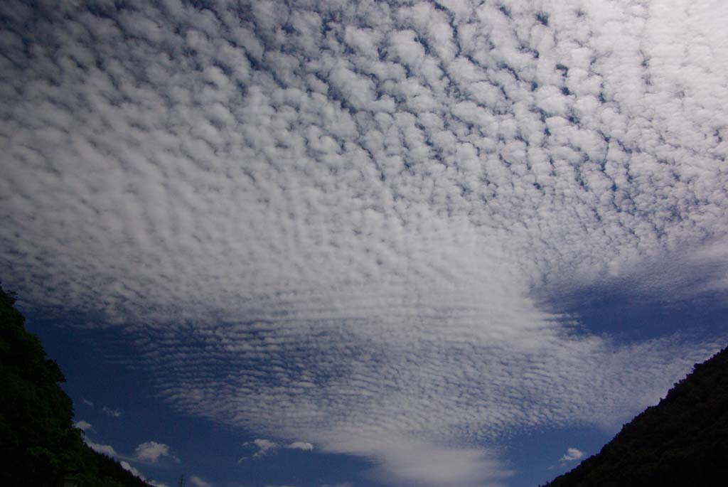 b0062024_22422067.jpg