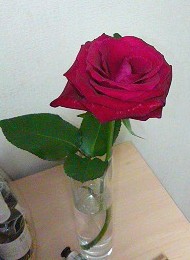 f0130430_19174050.jpg