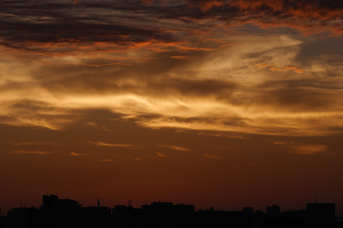 b0063234_23135235.jpg
