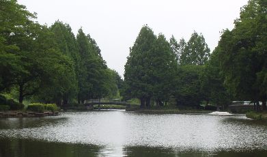 d0093936_19515733.jpg