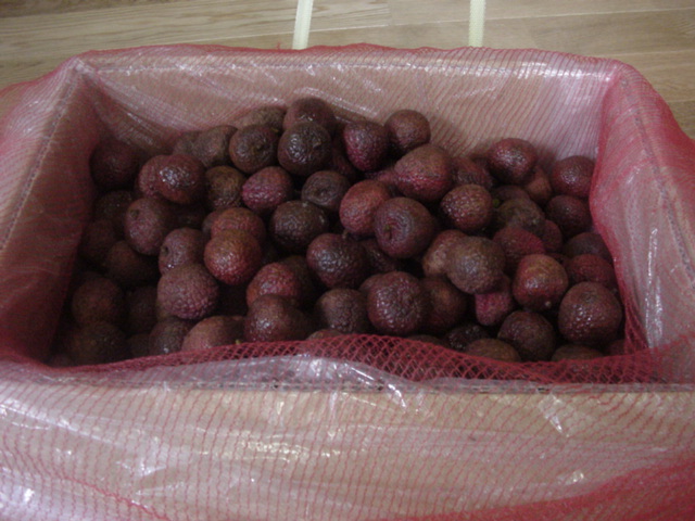 f0052337_20321360.jpg
