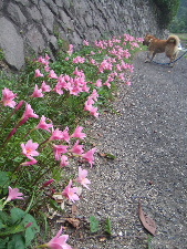 a0054240_1428353.jpg