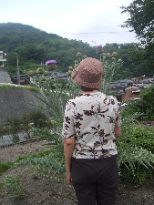 a0054240_14294217.jpg