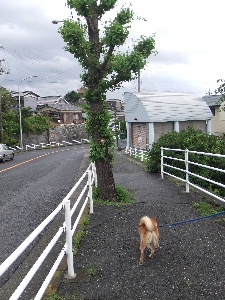a0054240_14414632.jpg