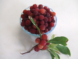 a0054240_14535353.jpg