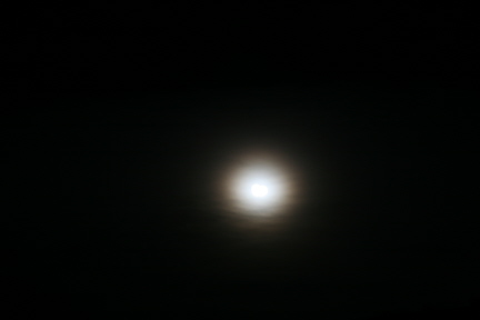 e0104941_1144201.jpg